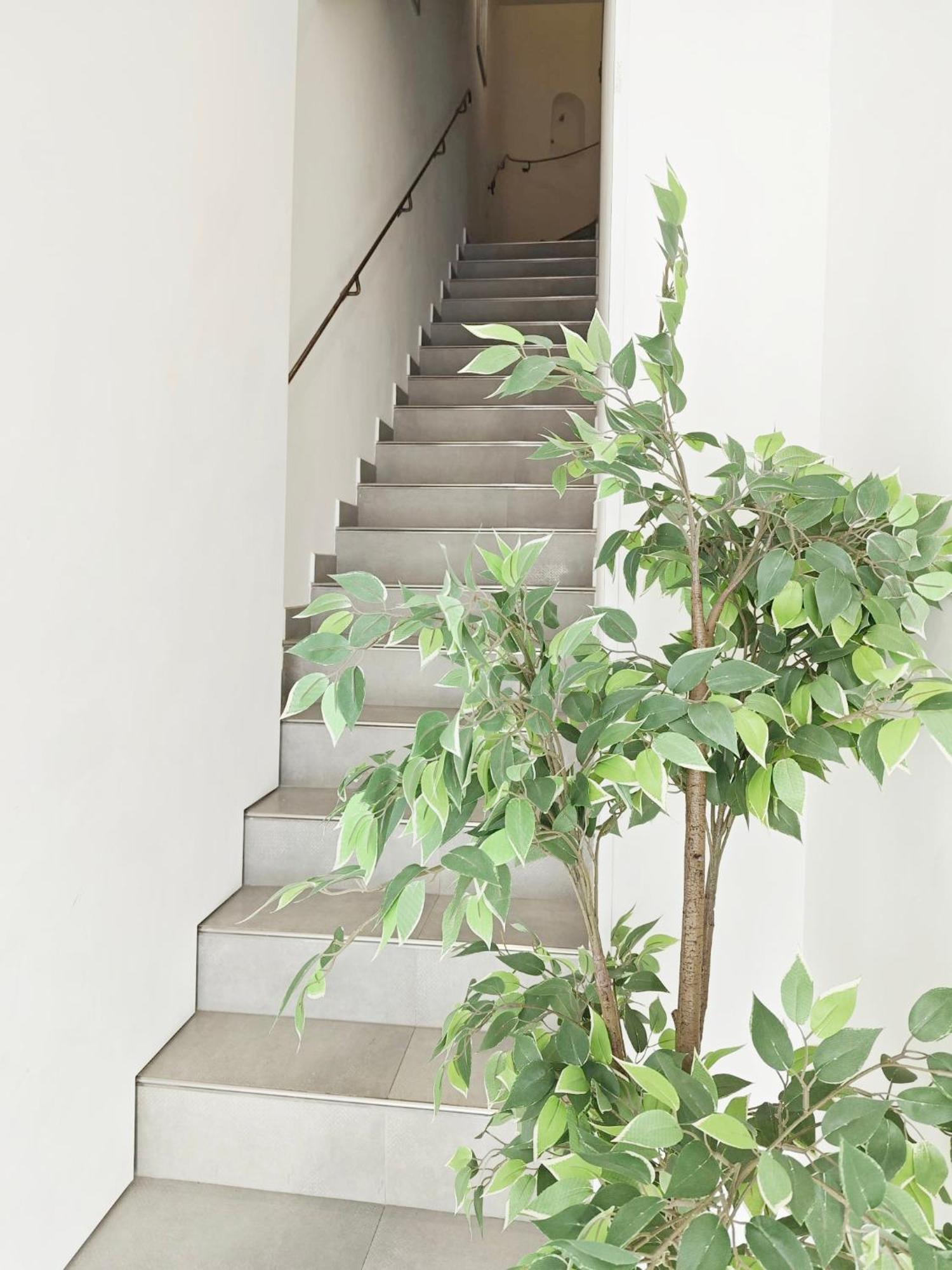 Mirabeau - Chambre Meublée Cassis Esterno foto
