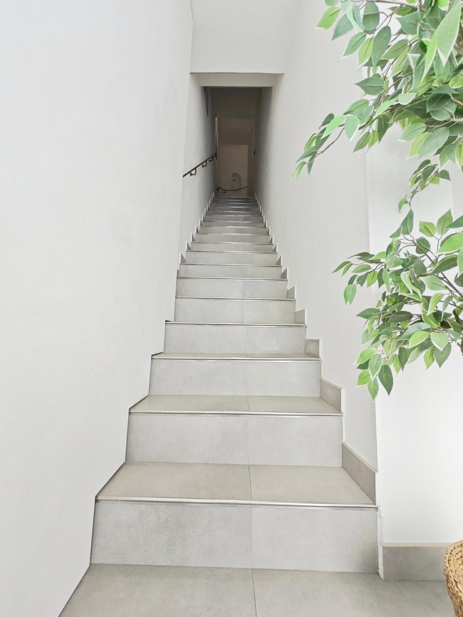 Mirabeau - Chambre Meublée Cassis Esterno foto